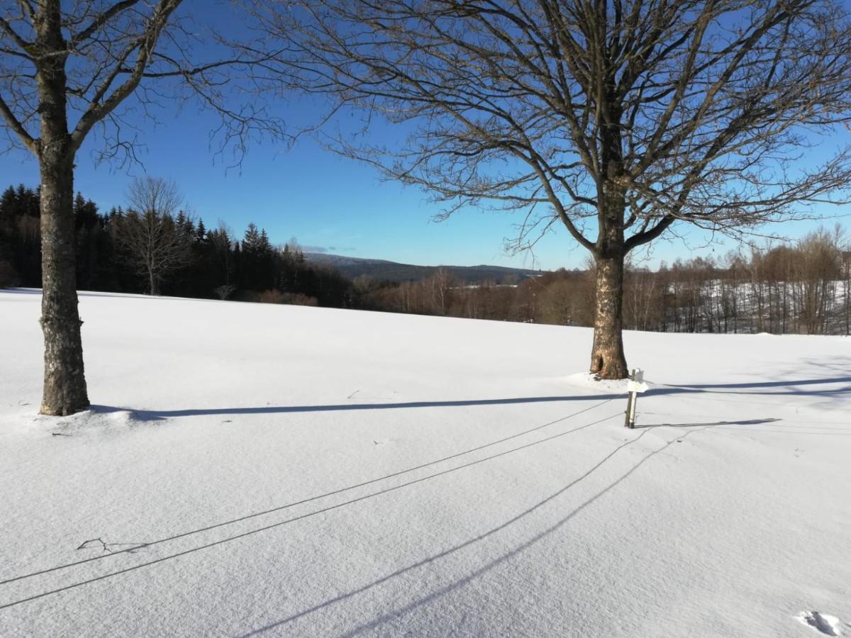 Fahrenbach-Alm Tröstau Exterior foto